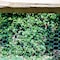 Garden Zone Garden Craft 24 in. H X 25 ft. L Steel Poultry Netting 1 in. 172425 - alternate 2